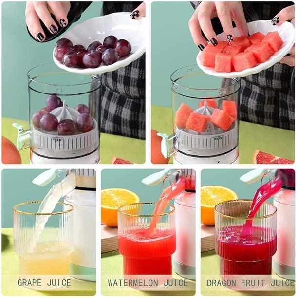 Citrus Juicer