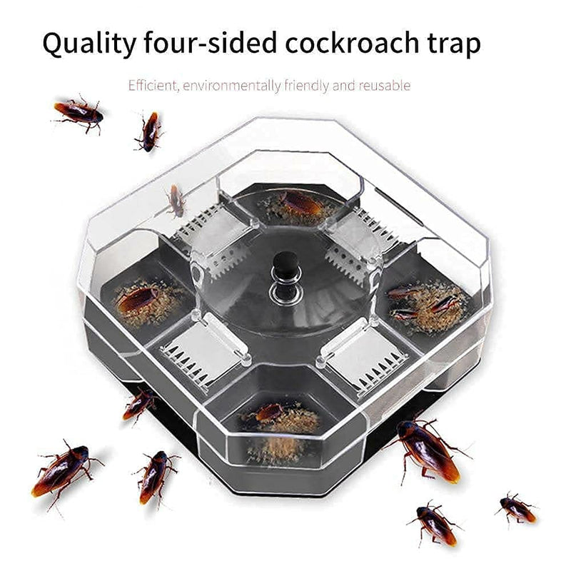 Cockroach Trap Box