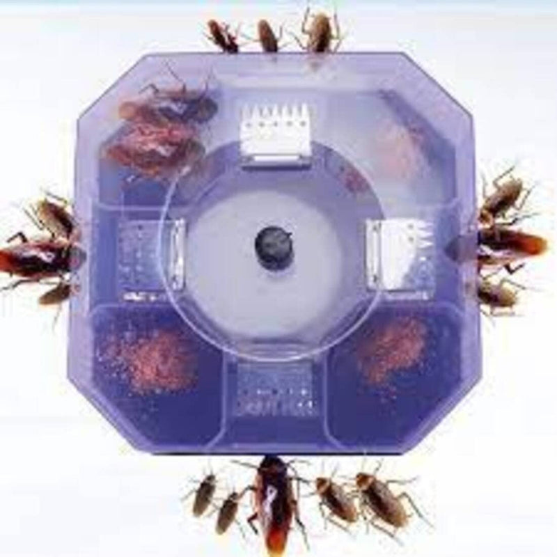 Cockroach Trap Box