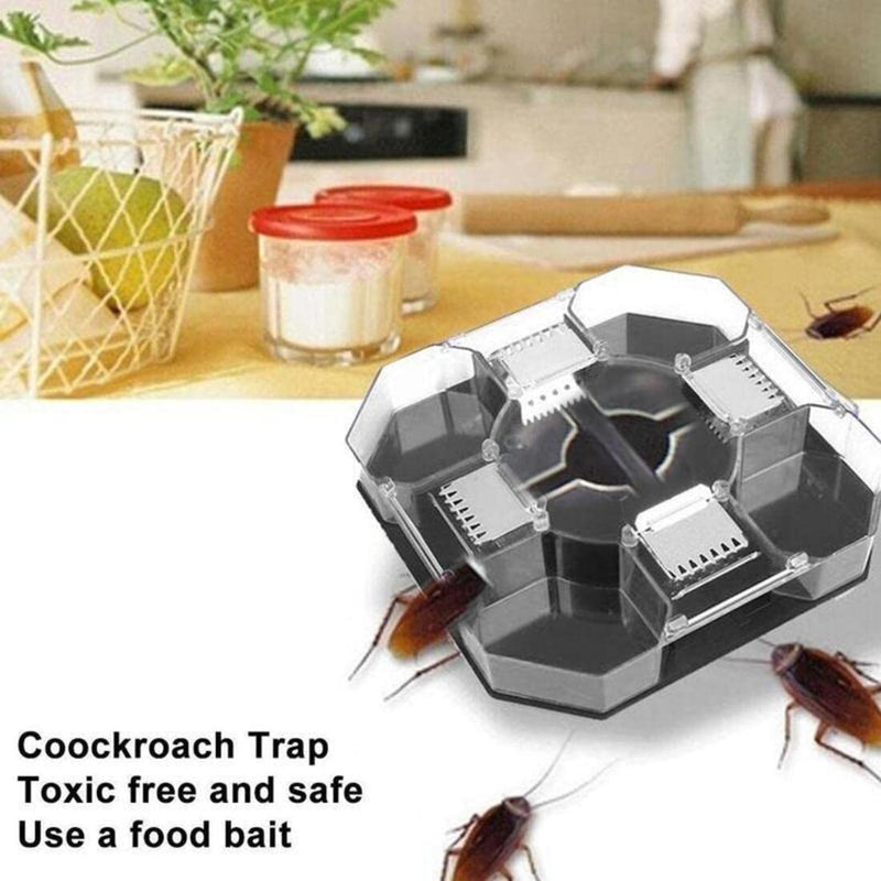 Cockroach Trap Box