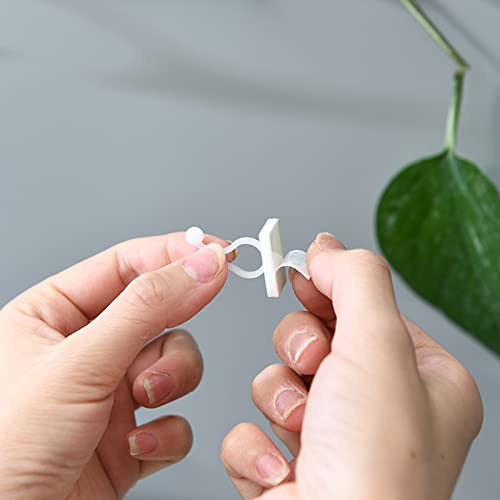 Plant Clip Wall Hook 30 pcs