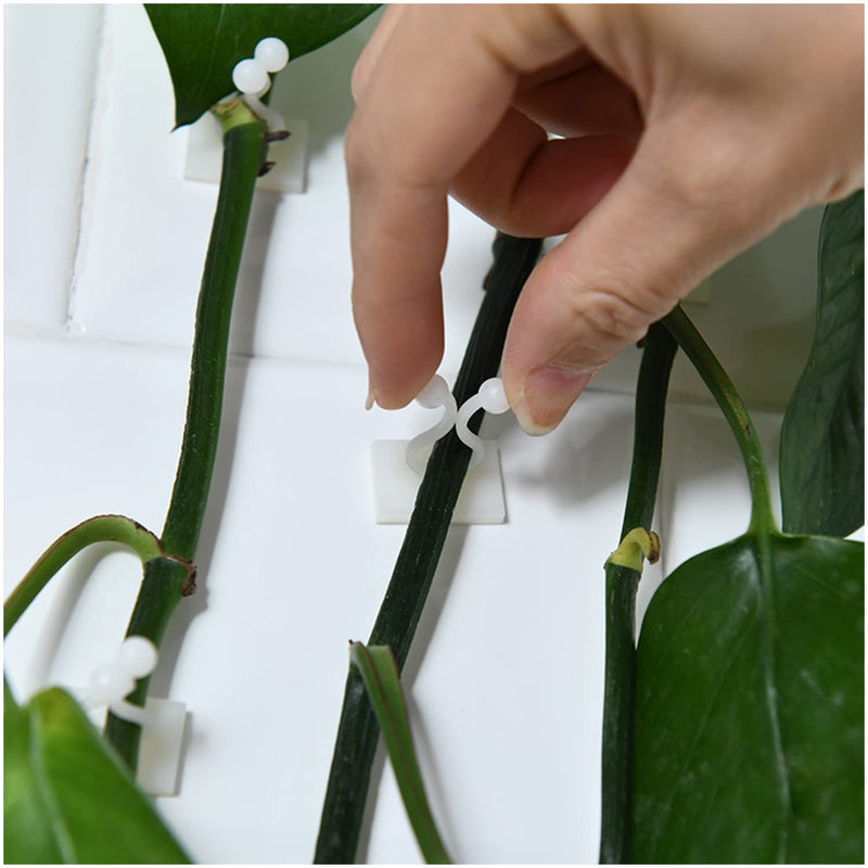 Plant Clip Wall Hook 30 pcs