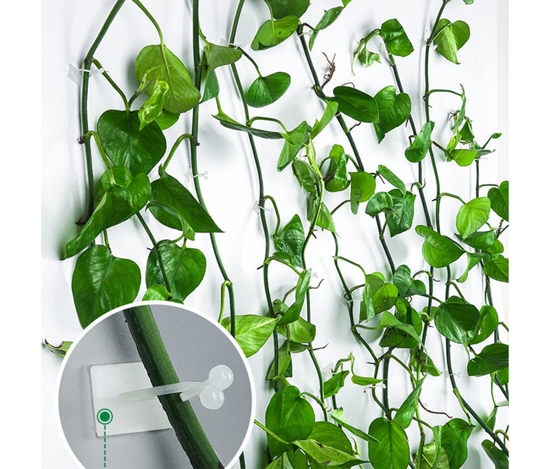 Plant Clip Wall Hook 30 pcs