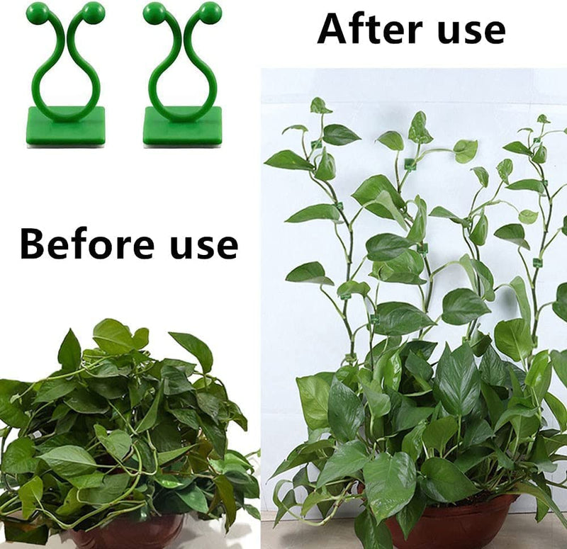 Plant Clip Wall Hook 30 pcs